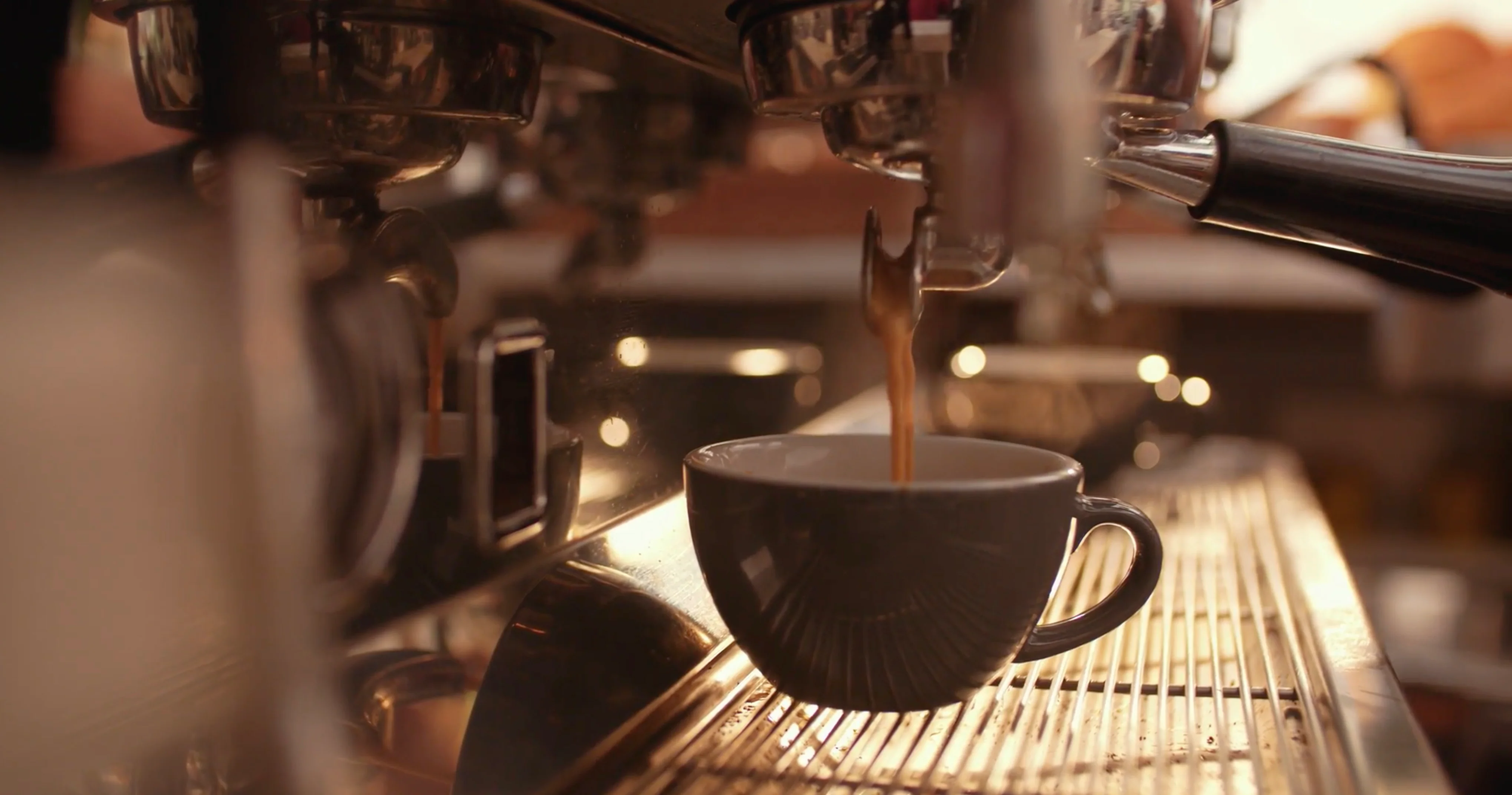 Timeless Design for Modern Living